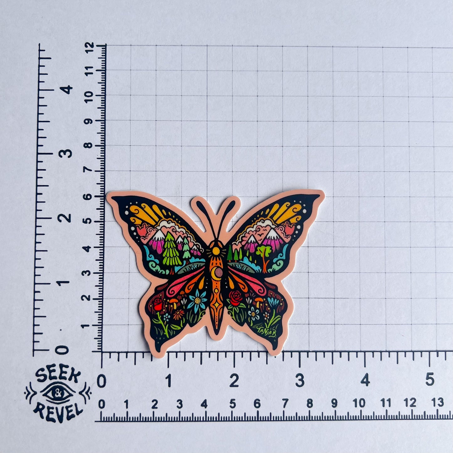 𝐍𝐄𝐖: Butterfly