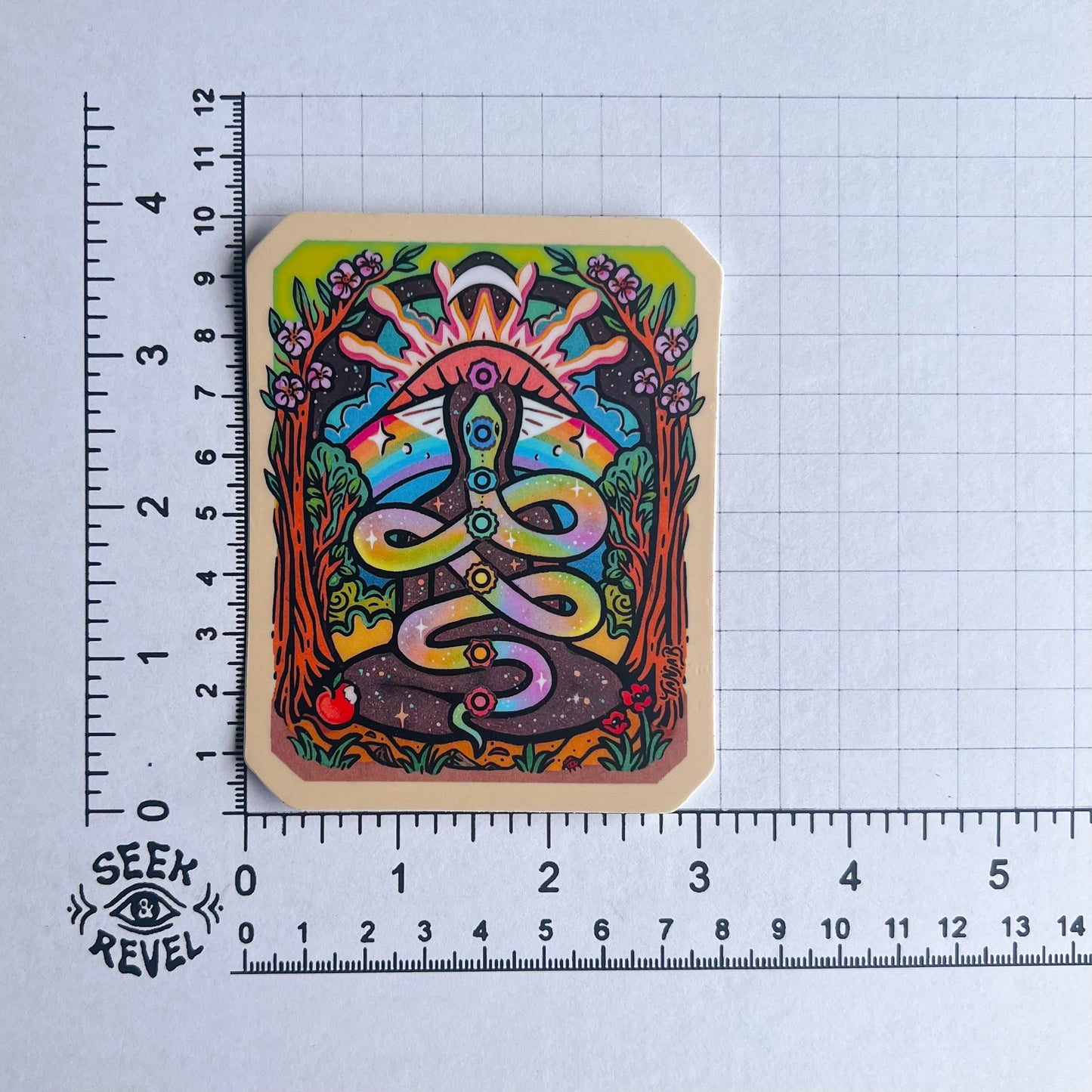 𝐍𝐄𝐖: Chakras