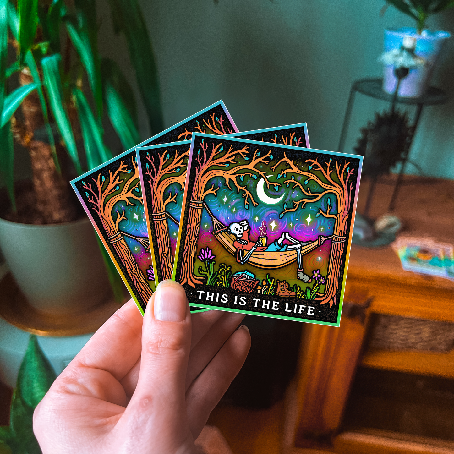 𝐍𝐄𝐖: This is the Life