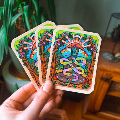 𝐍𝐄𝐖: Chakras