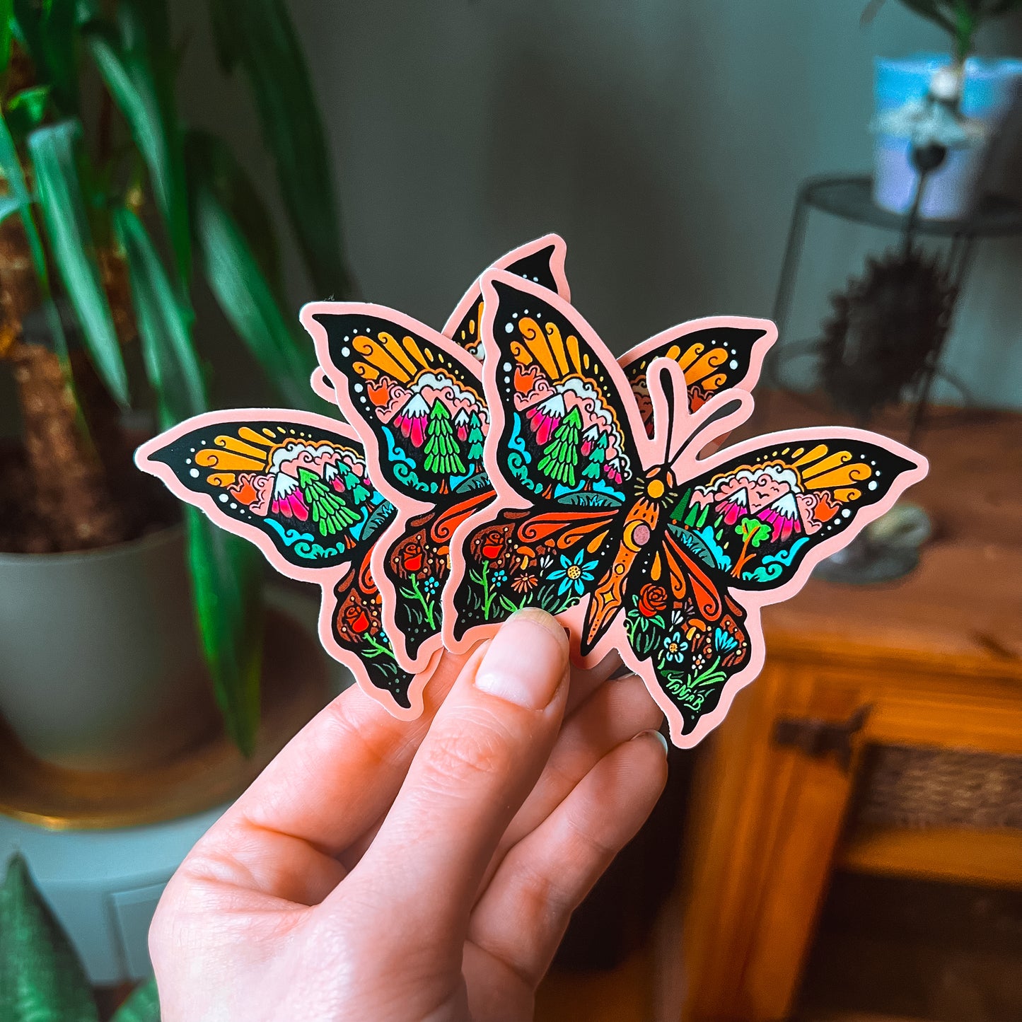 𝐍𝐄𝐖: Butterfly